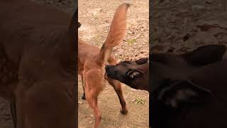 Behind the Scenes Introduction 13