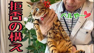 実家の父が来るたびにベルに嫌われていきます…
