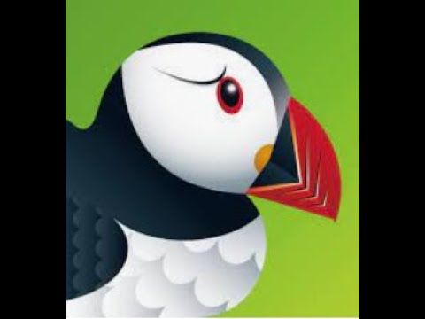 How to download puffin (fastest browser) for raspberry pi on twister or raspberry pi os