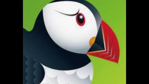 How to download puffin (fastest browser) for raspberry pi on twister or raspberry pi os