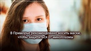 В Приморье рекомендовано носить маски, чтобы защититься от микоплазмы