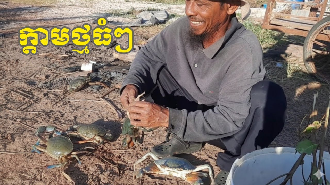 ចងក្តាមថ្មលេខ១