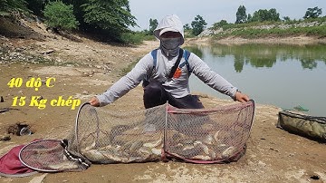 Câu cá chép sông giật nhiều như trong ao không thể tin được