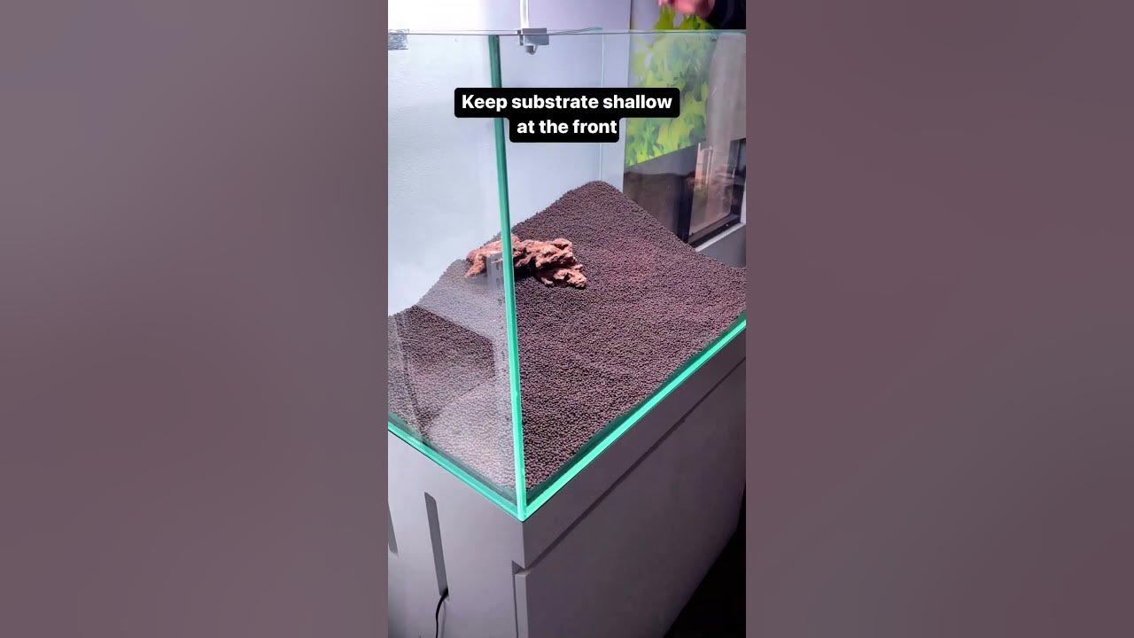 3 Tips for a PROFESSIONAL Aquascape #shorts