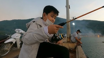 Câu Mực Hòn Sơn | Câu Mực Đêm | Cầu Cảng Bãi Bấc -  Hòn Sơn - Kiên Giang