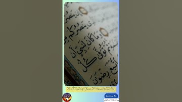 ايات من سورة الزمر ( 28 - 27 ) ولقد ضربنا للناس في هذا القران ... بصوت القارئ بندر الفيفي