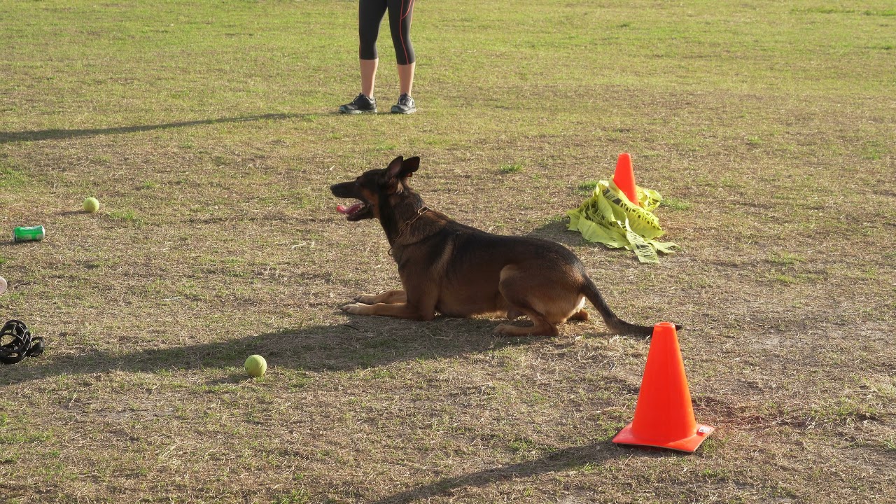 Miller PSA1 first leg