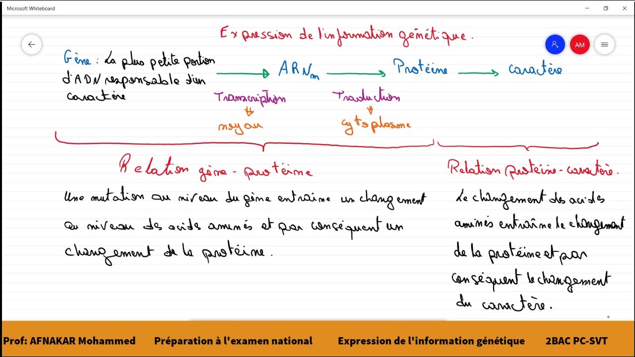 12-Préparation à l'examen national : L'expression de l'information génétique. 2BAC PC-SVT/1BAC SM