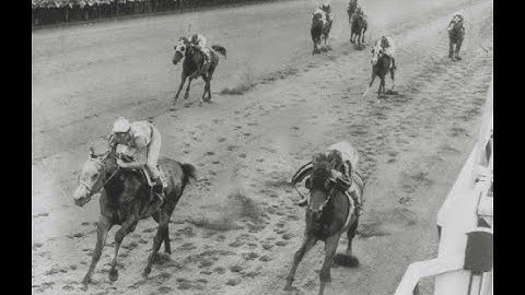 Native Dancer - 1954 Metropolitan Handicap, Belmont Park