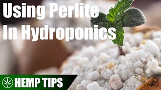 How to Use Perlite In Hydroponics