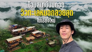 Solo Traveling | The Most Beautiful Village in Chiang Mai and Sea of Mist, 800 PER NIGHT!!