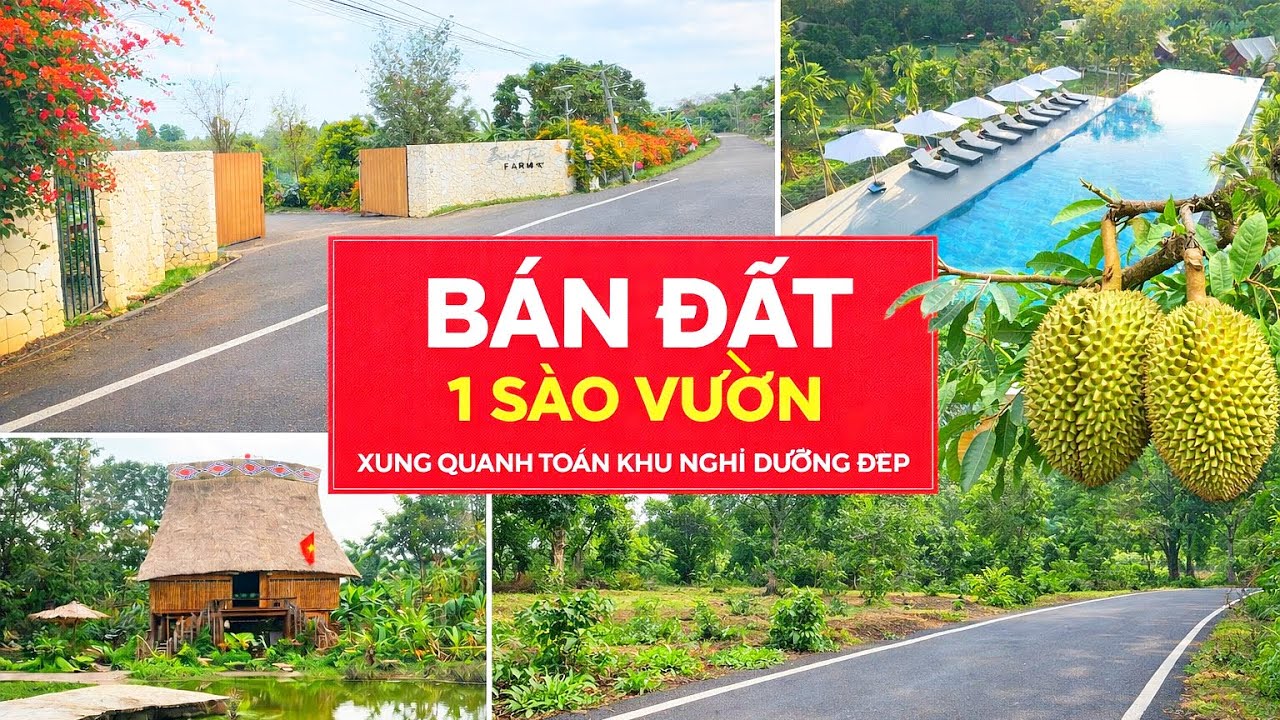 A Hưng cần tiền bán 1sào sẵn 100m2 thổ cư, vườn cây trái, gần các khu nghỉ dưỡng đẹp ở BRVT