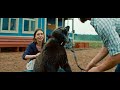 世界中で大ヒットを記録した『ハチとパルマの物語』続編、映画『こぐまとパルマの物語』予告編【2026年8月28日公開】