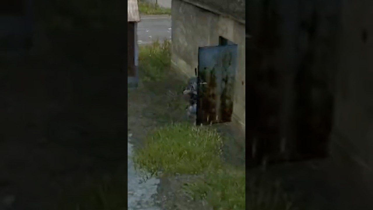 i shouldn't have said anything #dayz #shorts #gaming