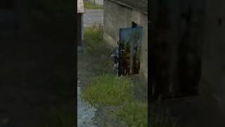 i shouldn't have said anything #dayz #shorts #gaming