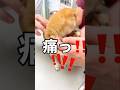 世界一で最も可愛い柴犬子犬、柴太郎、初めてのワクチン接種The world's cutest Shiba Inu puppy, Shiba Taro, first vaccination#shorts
