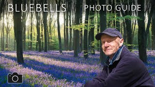 Bluebells Photo Guide. Images from Cornwall, Hampshire and Wiltshire, UK