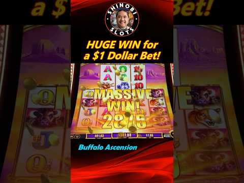 Buffalo Ascension slot - Huge Win on a $1 Bet! #shorts #shortfeed #liveslots