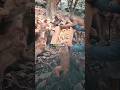 Such a Kind Man He is.❤️ #viral #shorts #funny #trending #shortvideo