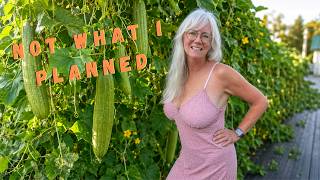 My Hydroponic Garden Didn't Go According to Plan… Look What Happened!