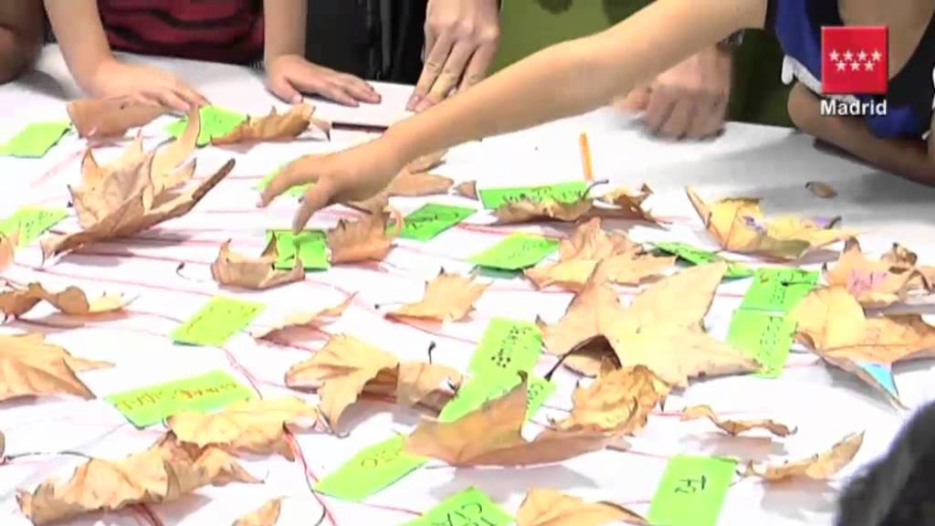 Los CEPI de la región dieron refuerzo escolar a 5.635 menores inmigrantes en 2011 asuntos sociales madrid