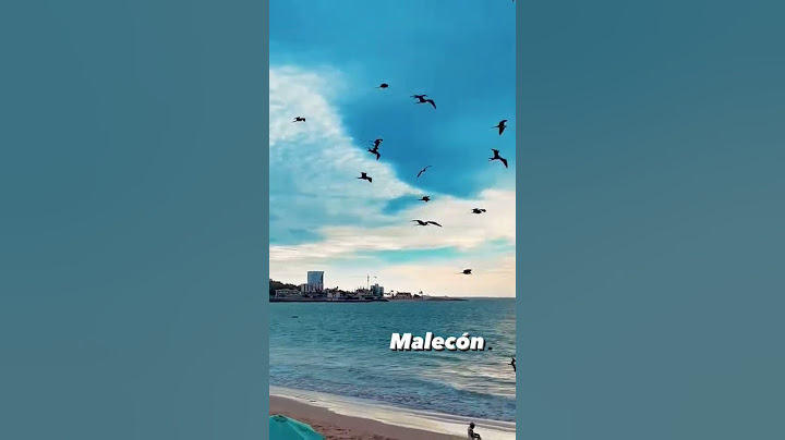 ¿Que puedes hacer en MAZATLAN? ☀️🌊 #MéxicoEs #mazatlan #playasmexicanas #turista