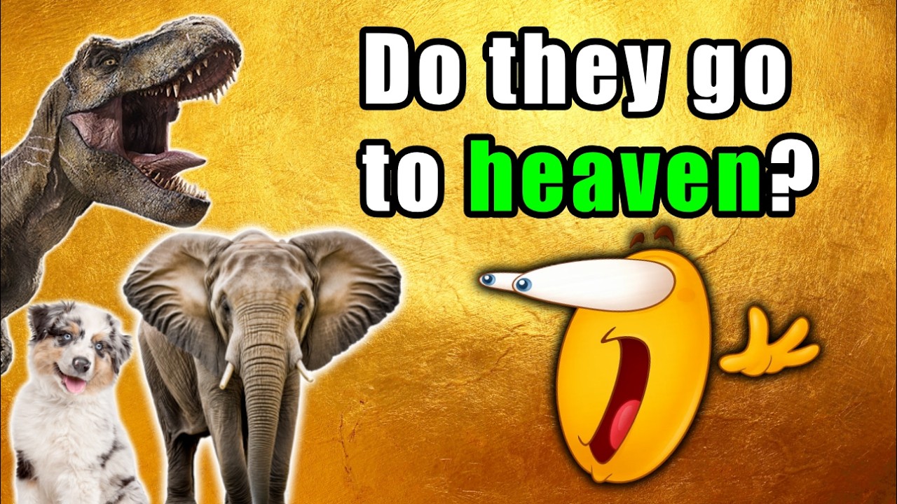 Do Animals Have SOULS?