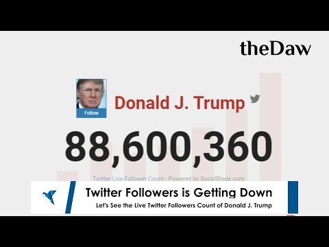 Donald Trump's Twitter Followers is Falling Down after the Election | theDaw