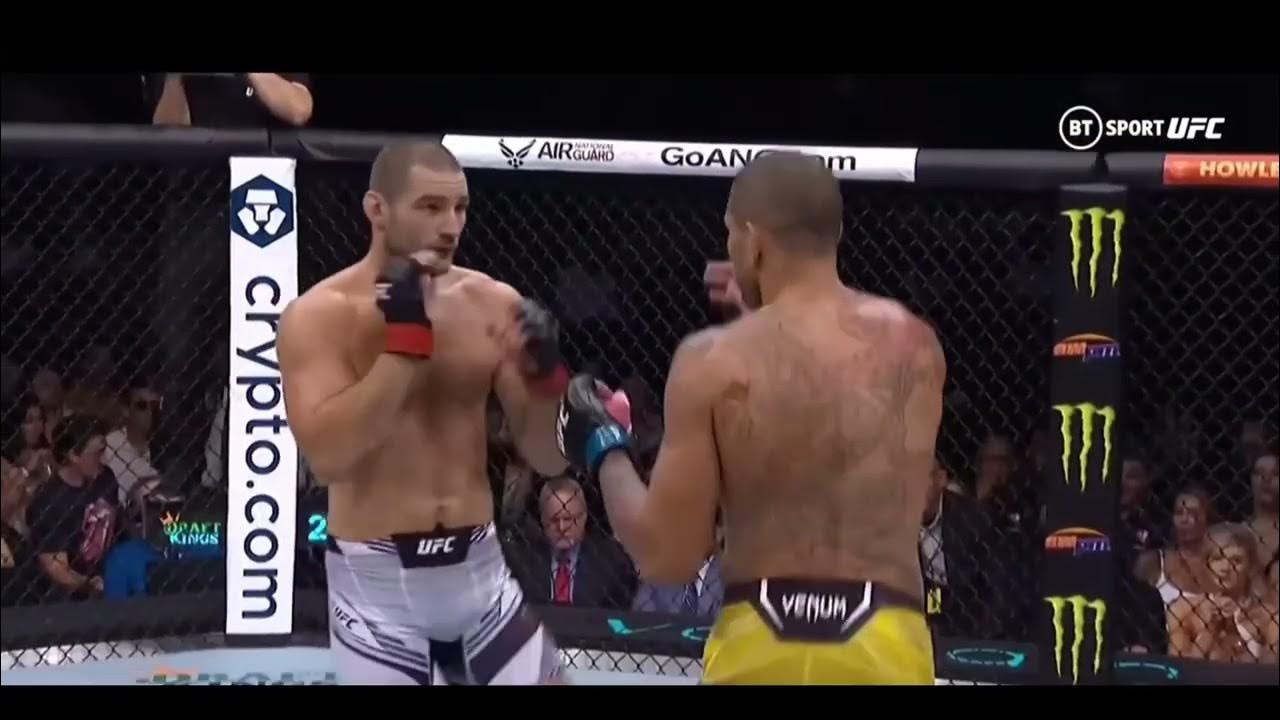 Alex Pereira Best Left Hook! YouTube