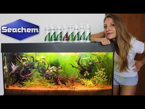 Video: Quali Tipi Di Fertilizzanti Vengono Utilizzati Per Nutrire Le Piante In Un Acquario?