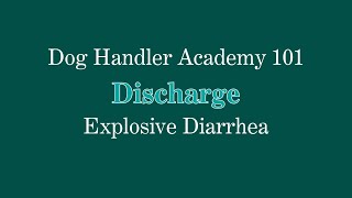 Dealing With Explosive Diarrhea Dog Handler Academy