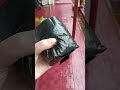 Как размножить ягоды #годжи черенками. Planting gojiberry cuttings. Cara menanam #gojiberry #ягоды