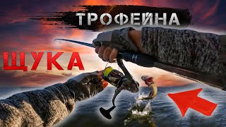 ✅Трофейна щука. Ловля щуки на Десні✅