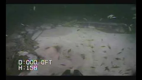 Montezuma's Well Underwater Footage Part 1