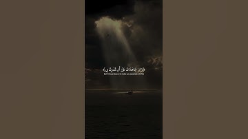 ووصينا الإنسان بوالديه إحسانا ♥️ #تلاوة_خاشعة #قران_كريم #quran #المصحف #تلاوه #قرآن #اكسبلور