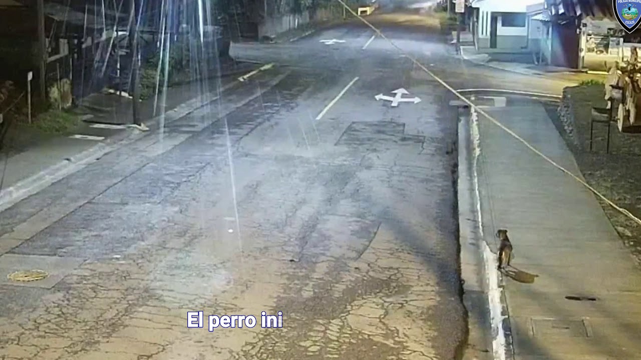 Un perro alerta a la Policía Municipal de Escazú sobre un robo a un restaurante