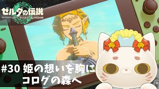 【#ゼルダの伝説ティアーズオブザキングダム】姫様の想いを胸に、コログの森へ！【＃おいでませりく猫】