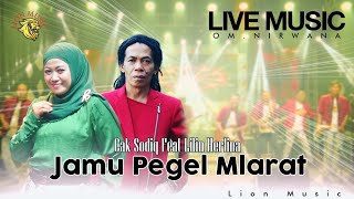 Lilin Herlina feat. Cak Sodiq - Jamu Pegel Mlarat (OM.Nirwana Live Music) 