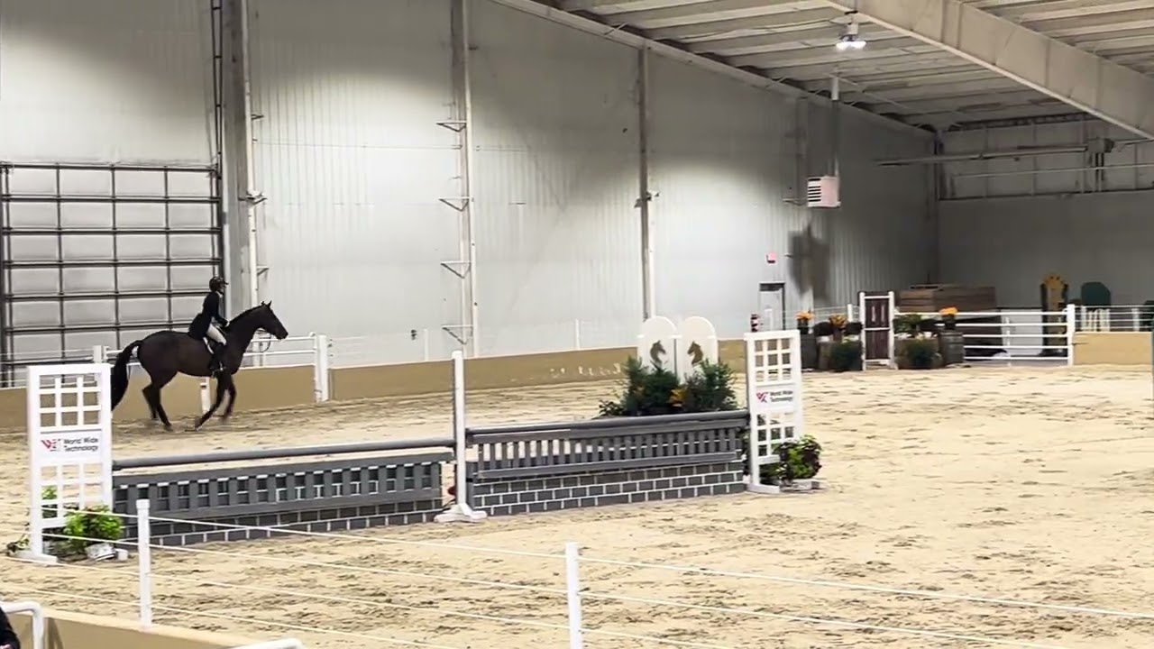 2025- NEC Hunt and Go Derby on Belamour 