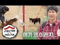 Even the Dogs Can Sense Master Kang's Professionalism [Master in the House Ep 62]