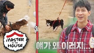 Even the Dogs Can Sense Master Kang's Professionalism [Master in the House Ep 62]
