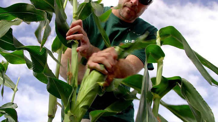 The BASF Kauai family - Keith Horton