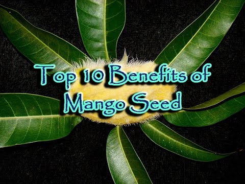 Top 10 Health Benefits of Mango Seeds