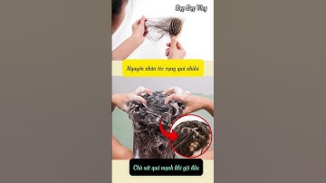 Nguyên Nhân Khiến Tóc Rụng Quá Nhiều #shorts #đẹpđẹpvlog