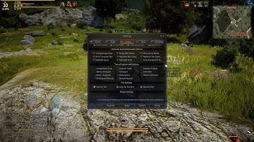 How to Enable Gamepad In Black Desert Online