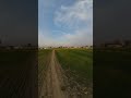 واہ کیا جود و کرم ہے شاہ بطحا تیرا واہ کیا جود و کرم ہے شاہ بطحا تیرا