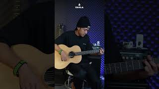 เสียงกีตาร์ไม่ได้มาจากสายอย่างเดียว...แต่ 'ไม้' ก็มีผลมากกว่าที่คิด 🌲🎶