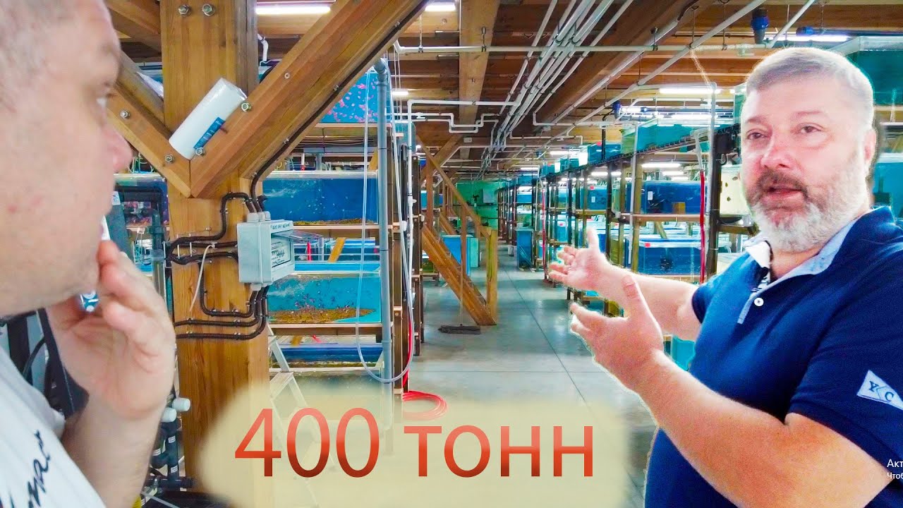 Терем Кометы г.Пермь