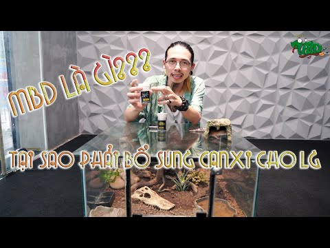 Video MBD là gì? Tại sao phải bổ sung canxi cho Leopard... - youtube