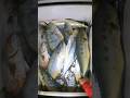 Kumain ka ng Maraming Isda #shorts #fypシ゚viral #shortvideo #shortsfeed #shortviral #fishing #fish